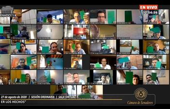 Sesión virtual del Senado.