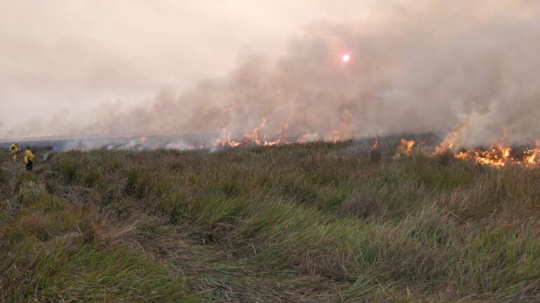 En la gráfica se puede dimensionar la importancia del incendio que podría llegar al área protegida Isla Susu
