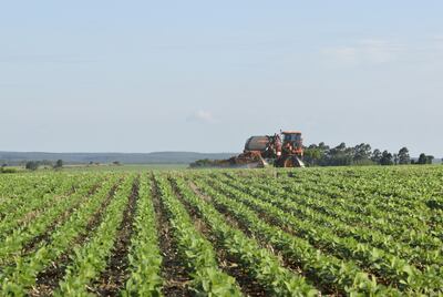 Aseguradora Tajy respalda el trabajo que se realiza en el campo, fuente importante de economía.