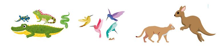 /pf/resources/images/abc-placeholder.png?d=2421