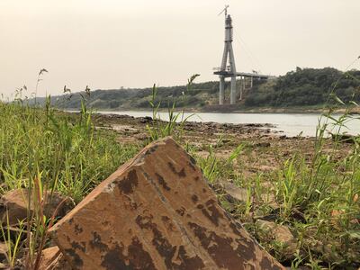 En medio de las rocas descubiertas por la bajante crecen vegetales. Atrás la construcción del Puente de la Integración, que unirá Presidente Franco con Foz de Yguazú (Brasil).