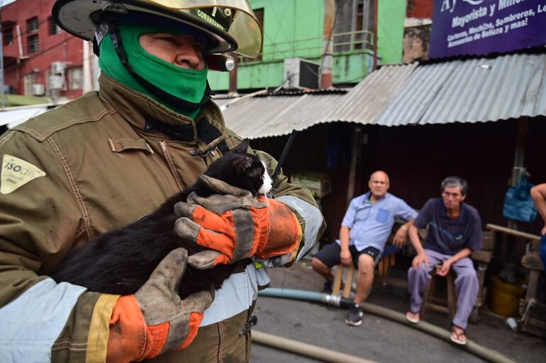 /pf/resources/images/abc-placeholder.png?d=2393