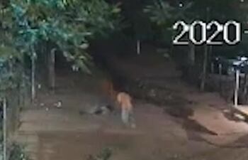 Momento en que la víctima del disparo cae al suelo, tras ser impactada en la cabeza.