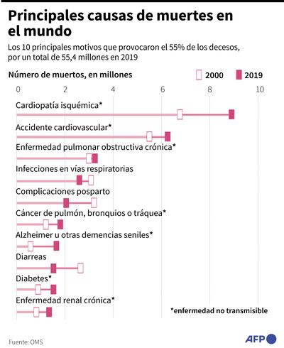 PRINCIPALES CAUSAS DE MUERTES EN EL MUNDO