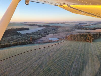 La producción de la soja tendría buenos precios debido a la demanda internacional.