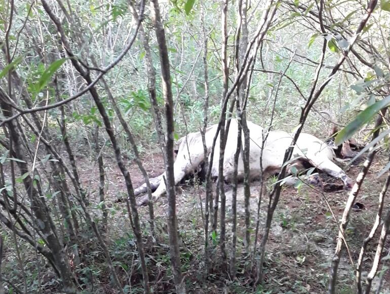 /pf/resources/images/abc-placeholder.png?d=2395