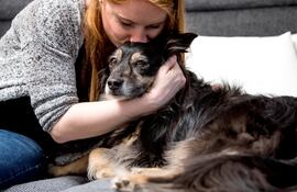 El hecho de pensar en nuestras mascotas hace que nos sintamos más seguros, con ganas de plantearnos objetivos y afrontar de mejor manera el estrés.