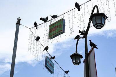 Un grupo de palomas descansa sobre cables en el distrito de Chinatown, en Singapur.