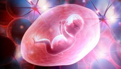 /pf/resources/images/abc-placeholder.png?d=2405