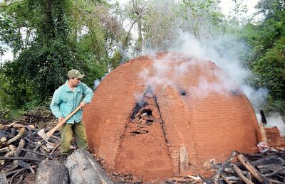 Uno de los más de 200 hornos para elaboración de  carbón ubicados en  la zona del área para Parque Nacional San Rafael.