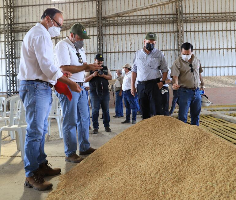 El titular del IPTA, Edgar Esteche; el presidente del Senave, Rodrigo González; el ministro de Agricultura, Santiago Bertoni y el titular de ANDE, Félix Sosa, en el establecimiento Arrozales del Chaco, GPSA, el pasado martes.