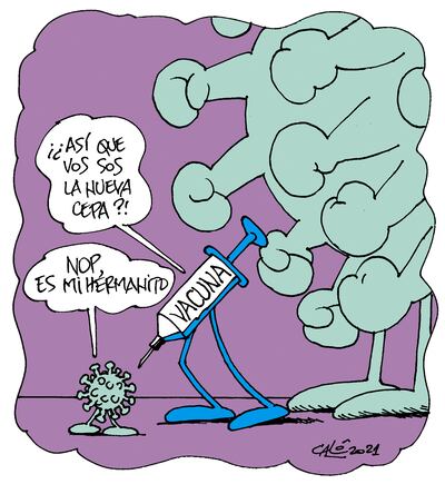 humor/17/01/21