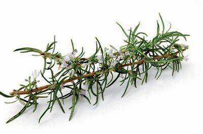 El timol, el carvacrol y la timohidroquinona son compuestos aromáticos del tomillo, el orégano y otras plantas de la familia de las lamiáceas. Este último ha demostrado tener propiedades anticancerígenas y es “particularmente interesante”, según un estudio que publica PNAS y encabeza la Universidad de Purdue (EE.UU).