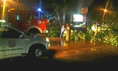 Cuadrillas de varias instituciones trabajaron para el despeje de las avenidas.