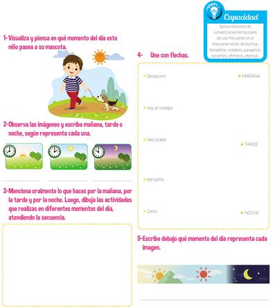 Mañana, tarde y noche