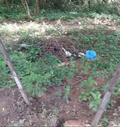 Arroyos y Esteros: denuncian falta de limpieza en patios baldíos