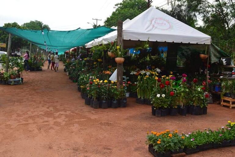 Cada año la compañía de Cabañas Caacupé, es principal atractivo de colores, fragancias y cautivadoras plantas que atraen a los turistas.