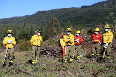 Rescatistas trabajan en la búsqueda de Tomás Bravo, en Caripilun, Chile.
