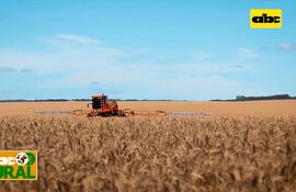 ABC Rural: Paraguay, elegido para presentación de plantadora Jacto