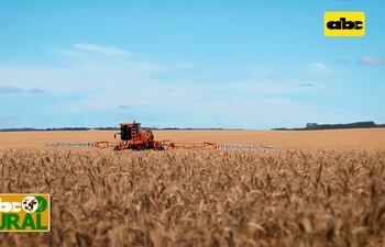 ABC Rural: Paraguay, elegido para presentación de plantadora Jacto