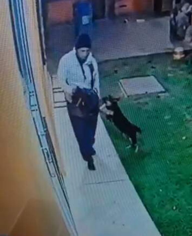 Imagen del sospechoso jugando con el perro de una de las residencias donde ingresó para robar, según explicaron los uniformados.