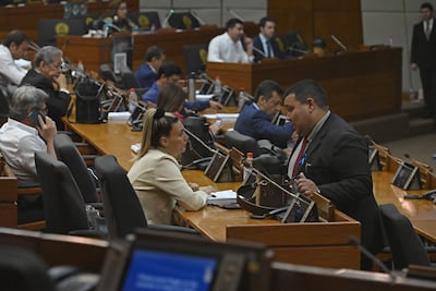 En sesión extraordinaria la Cámara de Diputados dio media sanción al proyecto de presupuesto 2023 y remitirá al Senado para que se expida al respecto.