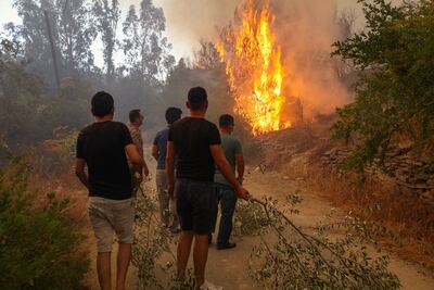 Las personas intentan ayudar durante un incendio forestal masivo que envolvió una región turística del Mediterráneo en la costa sur de Turquía, cerca de la ciudad de Manavgat, el 29 de julio de 2021.