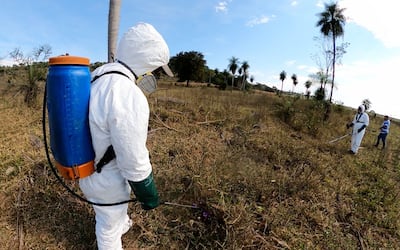 Trabajo de control de malezas leñosas que deben realizar los productores en sus campos.