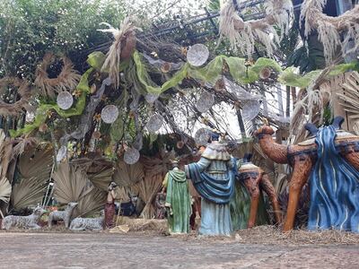 Preparan pesebre de karanda´y y caña de Castilla en parroquia Santo Domingo Savio.