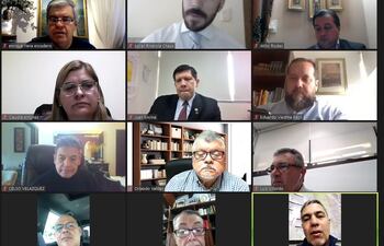 La reunión virtual de la Comisión de Entes Binacionales, donde participaron técnicos, expertos y consejeros de Itaipú, además de los senadores miembros.
