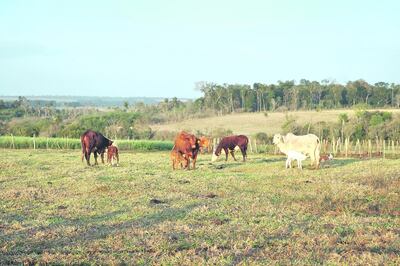 /pf/resources/images/abc-placeholder.png?d=2409