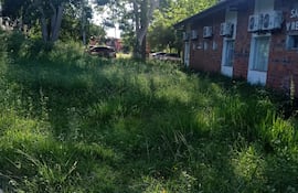 Ciudad Mujer de Villa Elisa con enormes pastizales.