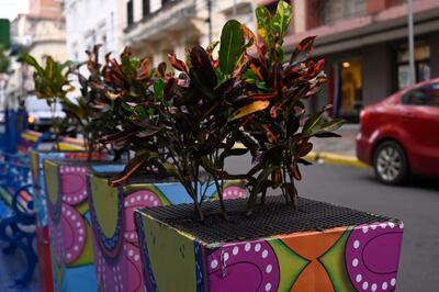 Un local comercial ubicado sobre la calle Palma de Asunción enrejó sus plantas para evitar que sean robadas. q