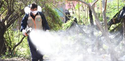 En las últimas cuatro semanas de 2020, se acumularon un total de 813 notificaciones de casos sospechosos de dengue a nivel país.