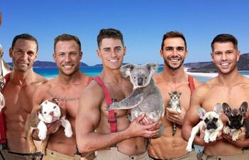 Mes a mes. Los bomberos australianos ilustran los meses del año posando con tiernos animales, muchos de ellos rescatados por organizaciones sin fines de lucro.