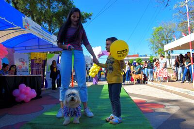 Atractivo desfile de mascotas en Villarrica por el Día Internacional del Animal.
