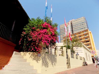 Celebración / Exposición virtual / Doble aniversario.