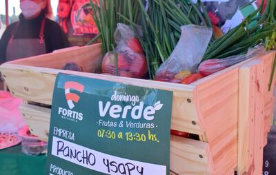 “Domingo verde” ofrece importantes ofertas, en el predio de Fortis de Mariano Roque Alonso.