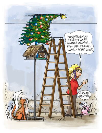 Las decoraciones de Navidad y Reyes Magos no se llevan bien con los perros y gatos. A tomar medidas para evitar desgracias