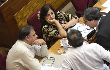 La senadora Esperanza Martínez (FG). Cuestiona al presidente por no ir al Senado para explicar el uso de los US$ 1.600 millones para la Ley de Emergencia.