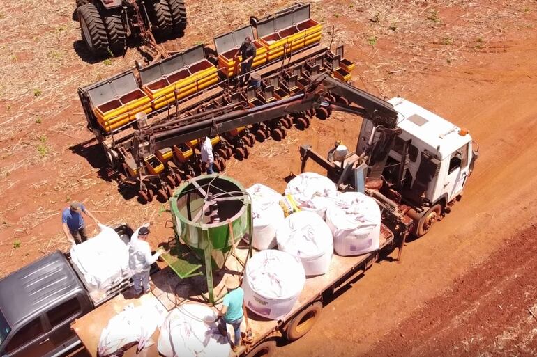 La importancia de un buen tratamiento de semillas sera fundamental para el éxito del cultivo.