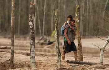 Defensores ambientales del pueblo yanomani de Brasil se reúnen este martes con la vicepresidenta tercera del Congreso de los Diputados, Gloria Elizo, y con otras entidades españolas para exponer problemas como la deforestación o la contaminación y buscar que no se importen productos de territorios devastados.