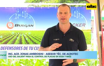 Uso del Salient para el control de plagas en soja y maíz