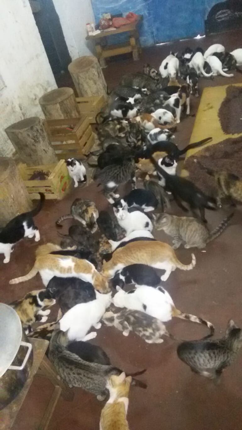 /pf/resources/images/abc-placeholder.png?d=2394