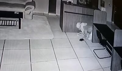 El circuito cerrado del local captó íntegramente el accionar delictivo.