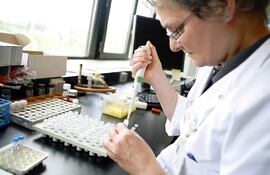 El cáncer, ese viejo enemigo de la especie humana, ha ido revelando sus secretos gracias a los espectaculares avances de la medicina, pero el campo de investigación es aún inmenso.