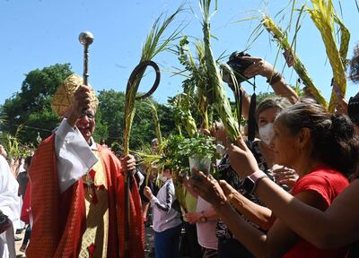 Bendición de palmas en la Catedral Metropolitana.