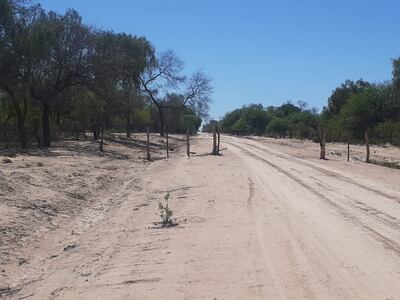 Uno de los accesos a las comunidades que necesitan electrificación. La ANDE prometió iniciar antes de fin de año los trabajos.