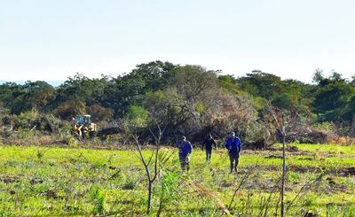 El Mades intervino en dos ocasiones en la tala dentro de la propiedad  del empresario César  Sosa Fariña.