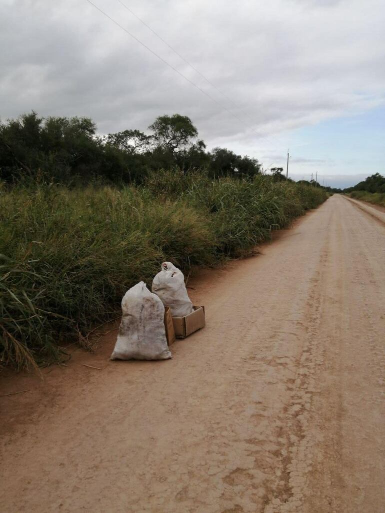 Las dos bolsas de basura fueron arrojadas en una calle vecinal de Filadelfia. El responsable fue multado con el equivalente a la tasa de recolección de basura por cinco años. 